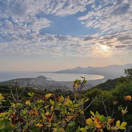 Port Calvi- T3 Sea View