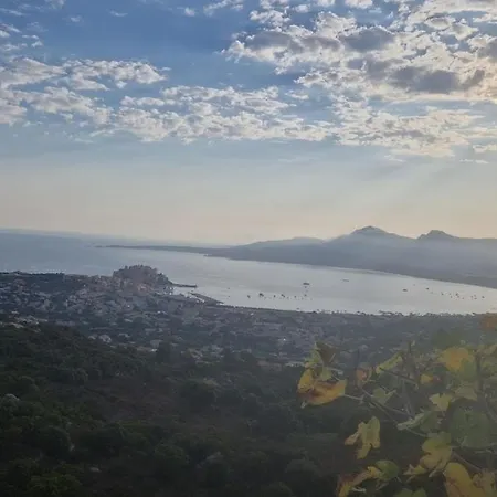 Port Calvi- T3 Sea View 아파트 칼비