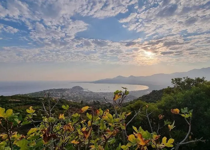 Port Calvi- T3 Sea View